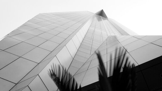 Street skyscraper palma