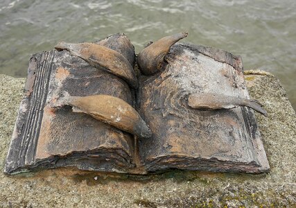 Book fish bronze sculpture