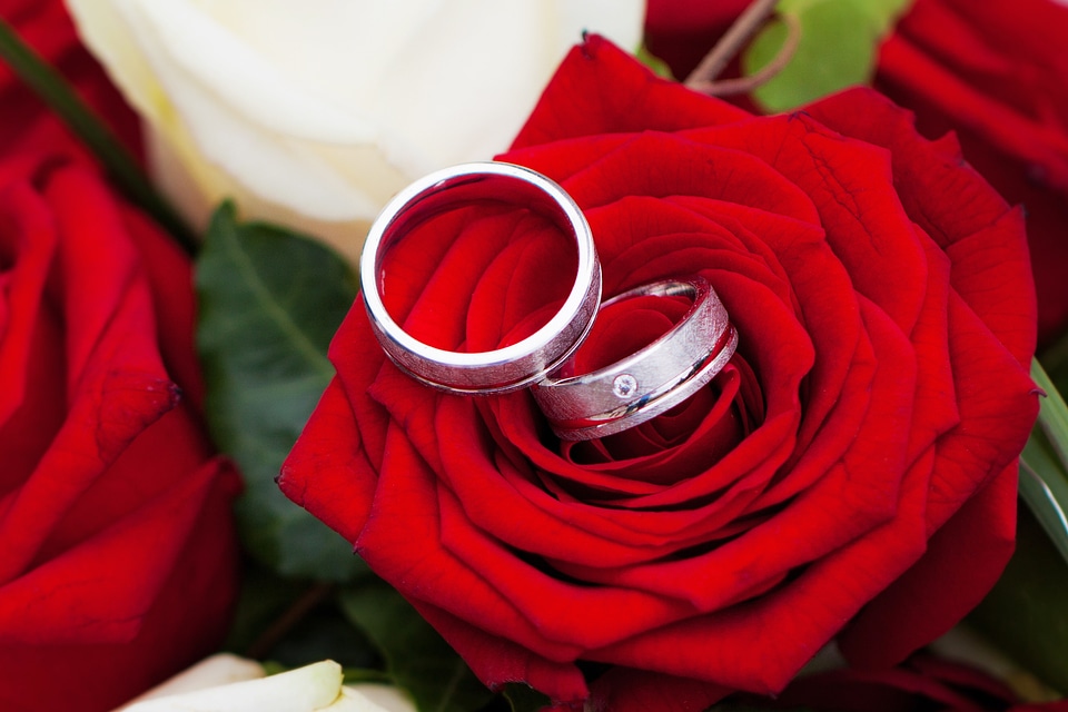 Love flowers romantic