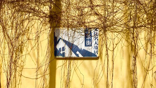 Yellow branch light