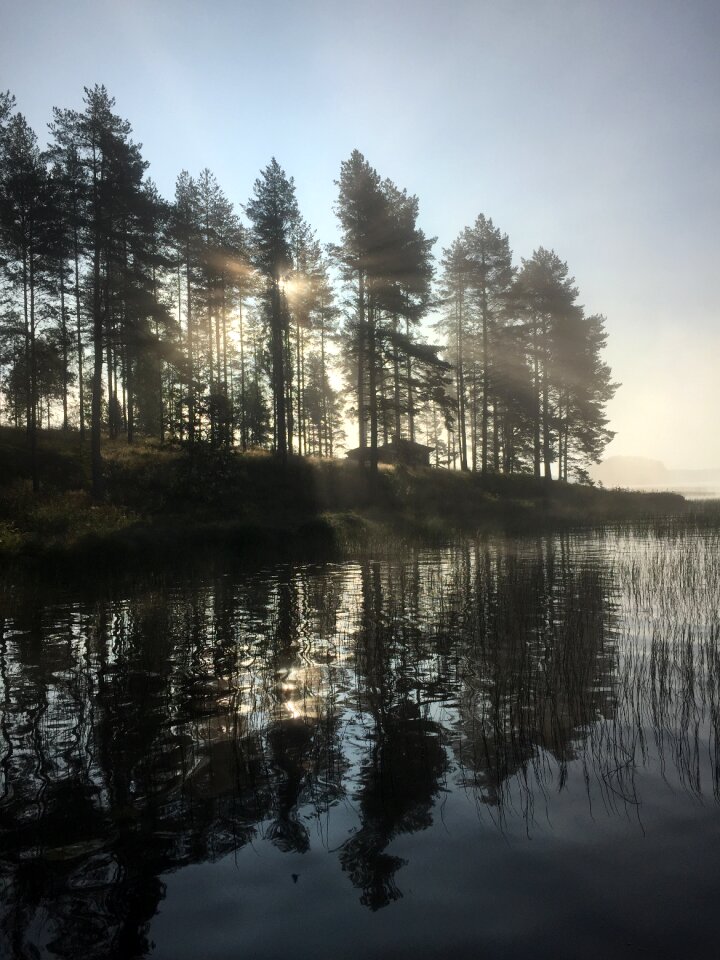 Island lake sunny photo