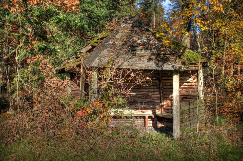 Nature wood log cabin