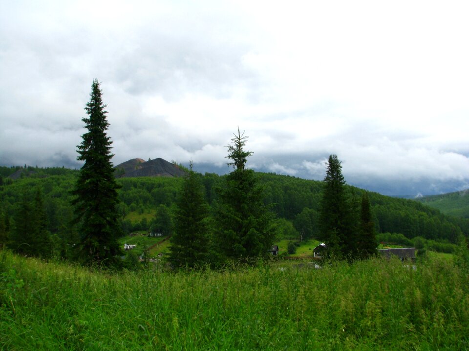 Day nature landscape