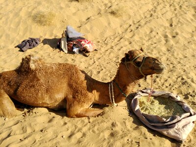 Travel backpack southwest asia