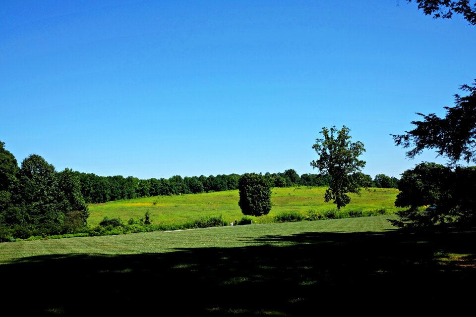 Trees hills