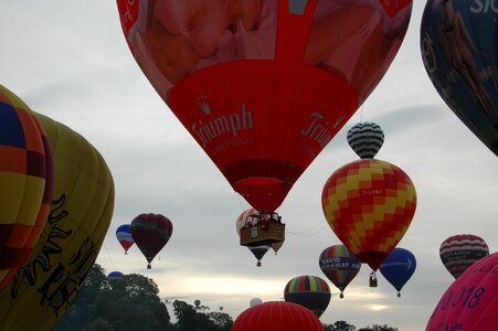 Festival flying colorful