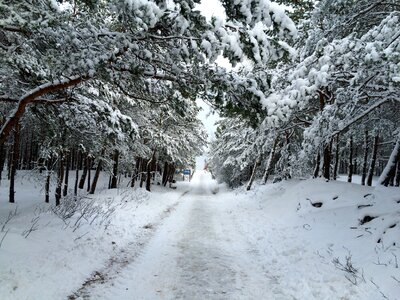Nature wandering trail