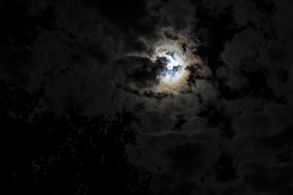 Moonlight outdoor natural