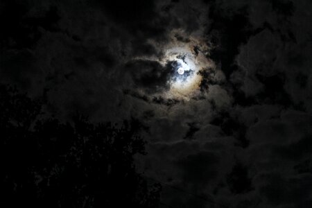 Moonlight outdoor natural photo