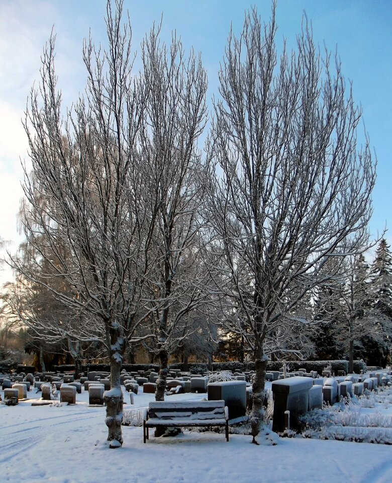 Tombstone snow winter