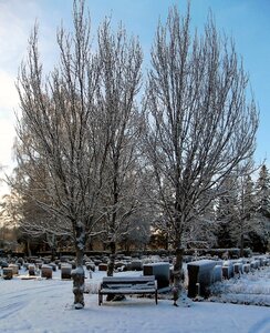 Tombstone snow winter