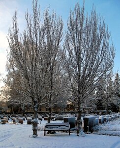 Tombstone snow winter photo