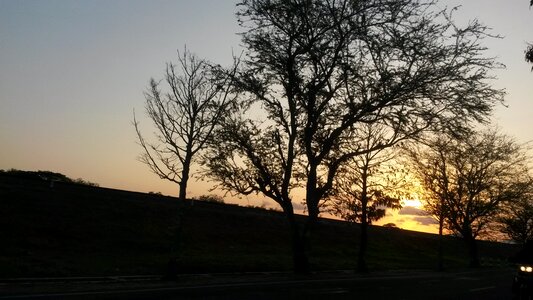 Sunset railroad the tree photo