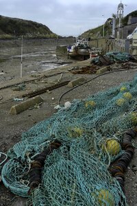Brittany erquy trawl