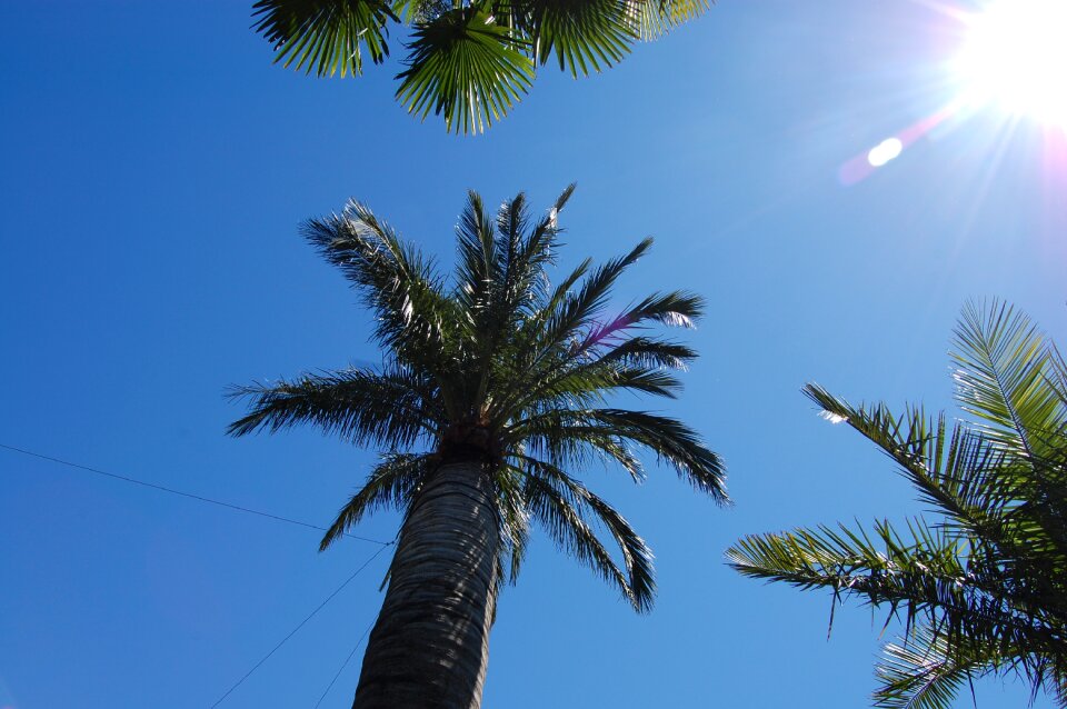 Sun vacations summer