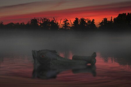 Malchower lake sunrise fish