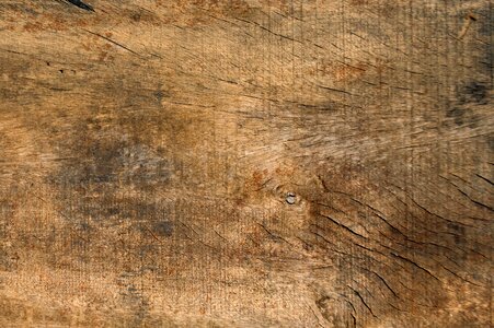 Wood texture background