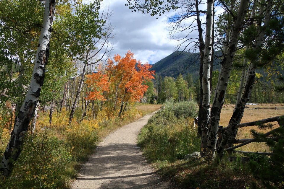 Hiking adventure outdoor
