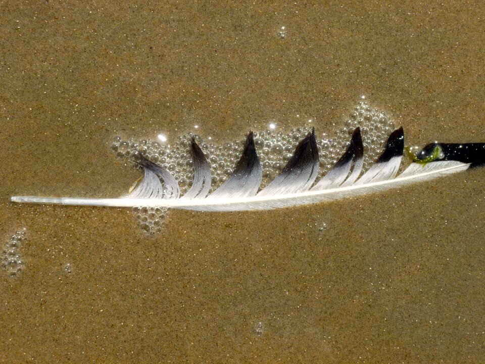 Water nature lost