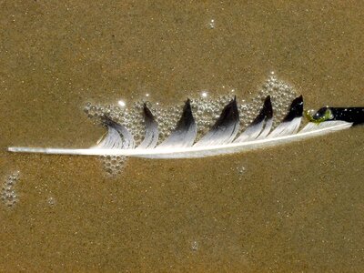 Water nature lost