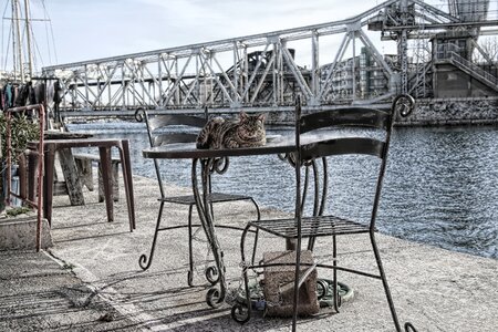 Cat eyes chairs table photo