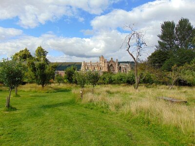 Medieval ruin photo