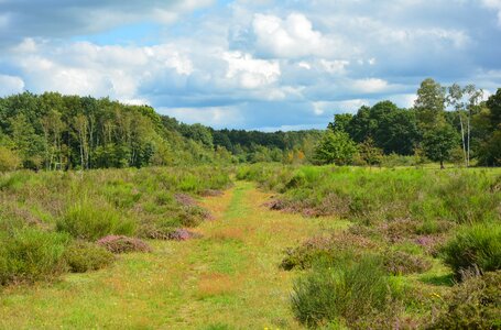 Heather nature away
