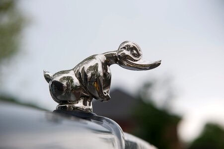 Classic closeup detail