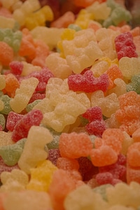 Bear sweetness colorful