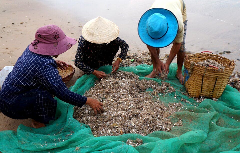 The fishing village life vietnam