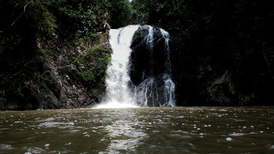 Jungle water belize photo