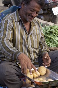 Potatoes hyderabad kondapur photo