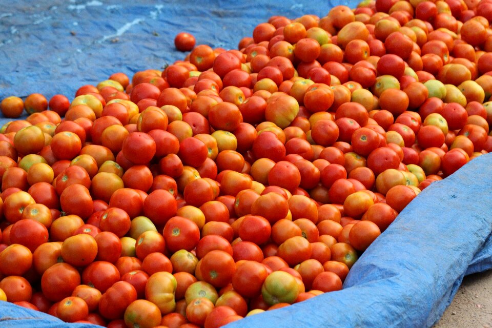 Hyderabad kondapur