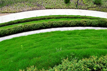 Lawn garden natural
