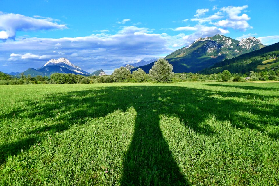 Nature tree shade shadow play photo