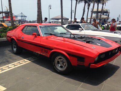 Mustang gt302 car