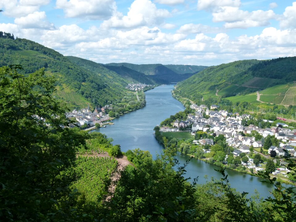 The moselle valley bullay landscape