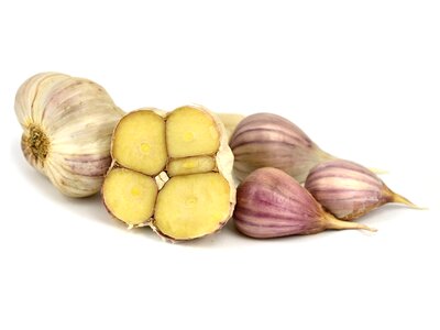 A clove of garlic flavoring dishes garlic kitchen photo