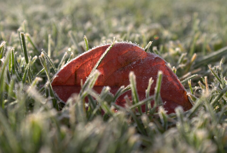 Autumn environment