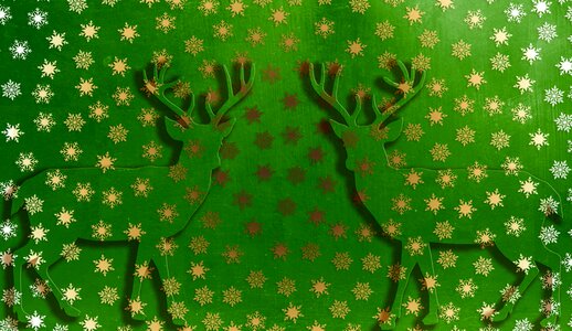 Christmas decoration christmas card green