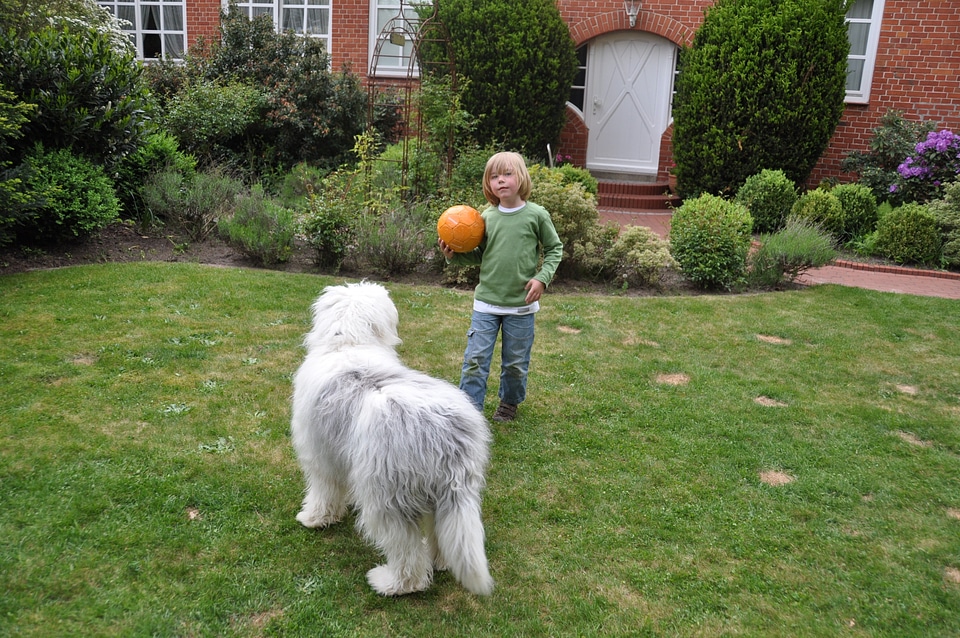 Cute bobtail child