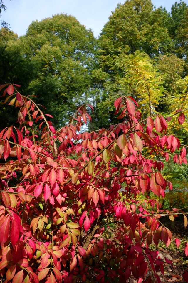 Seasons colorful nature