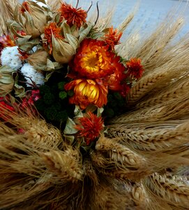 Harvest pumpkin autumn decoration photo