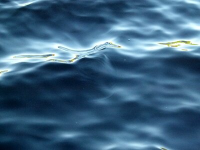 Nature surface