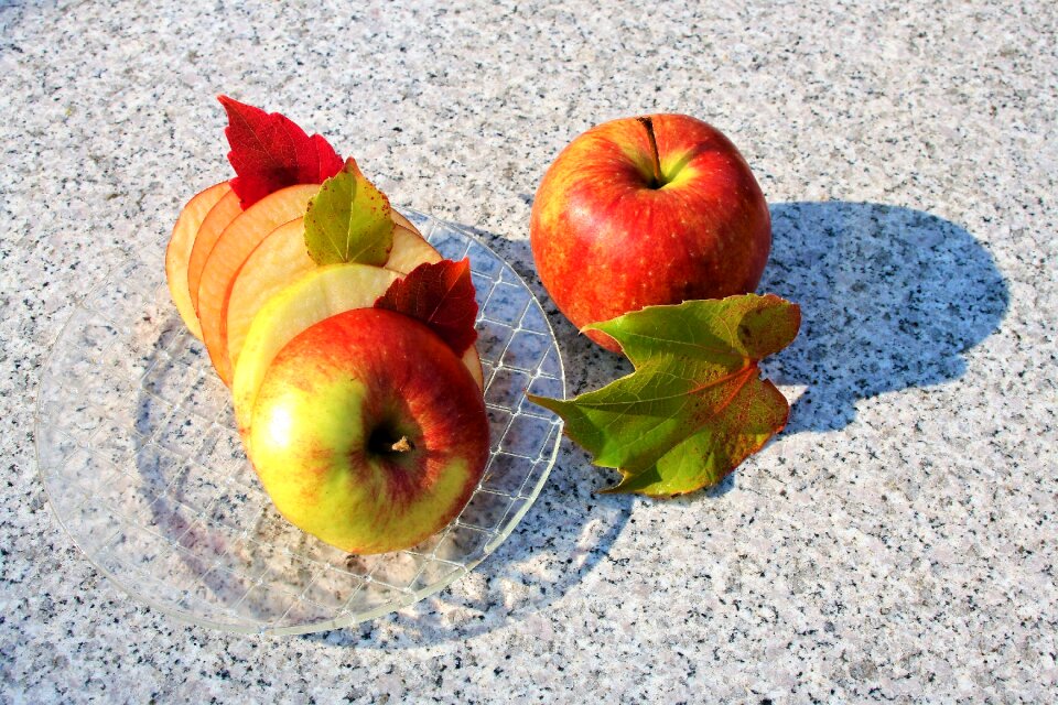 Fruit dessert composition