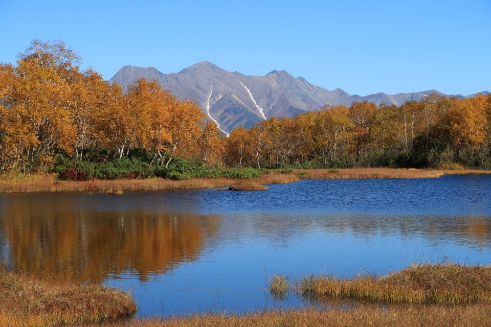 Tundra swamp nature