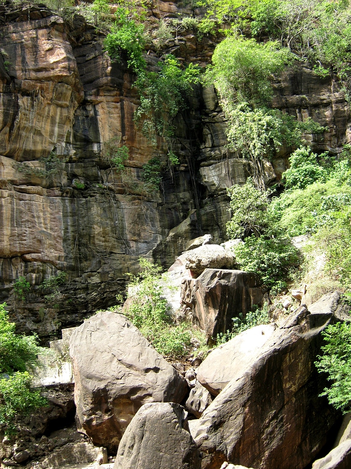 Rock wall jungle sandstone