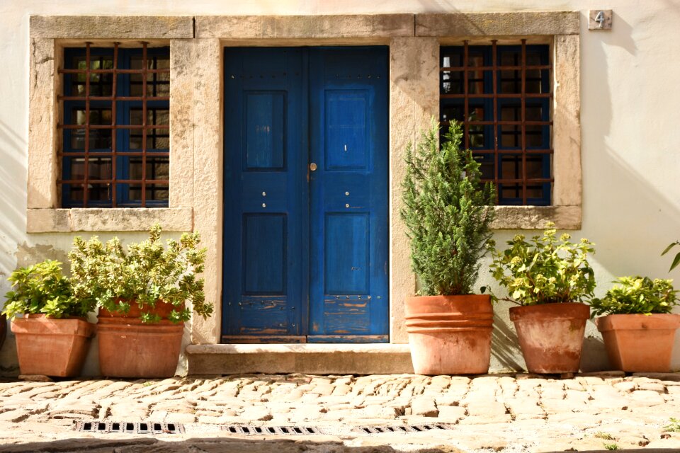 Istria summer flowers