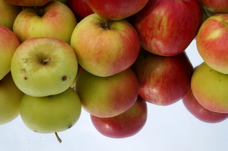 Fresh red apple fruit