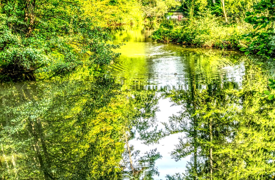 Reflection nature landscape